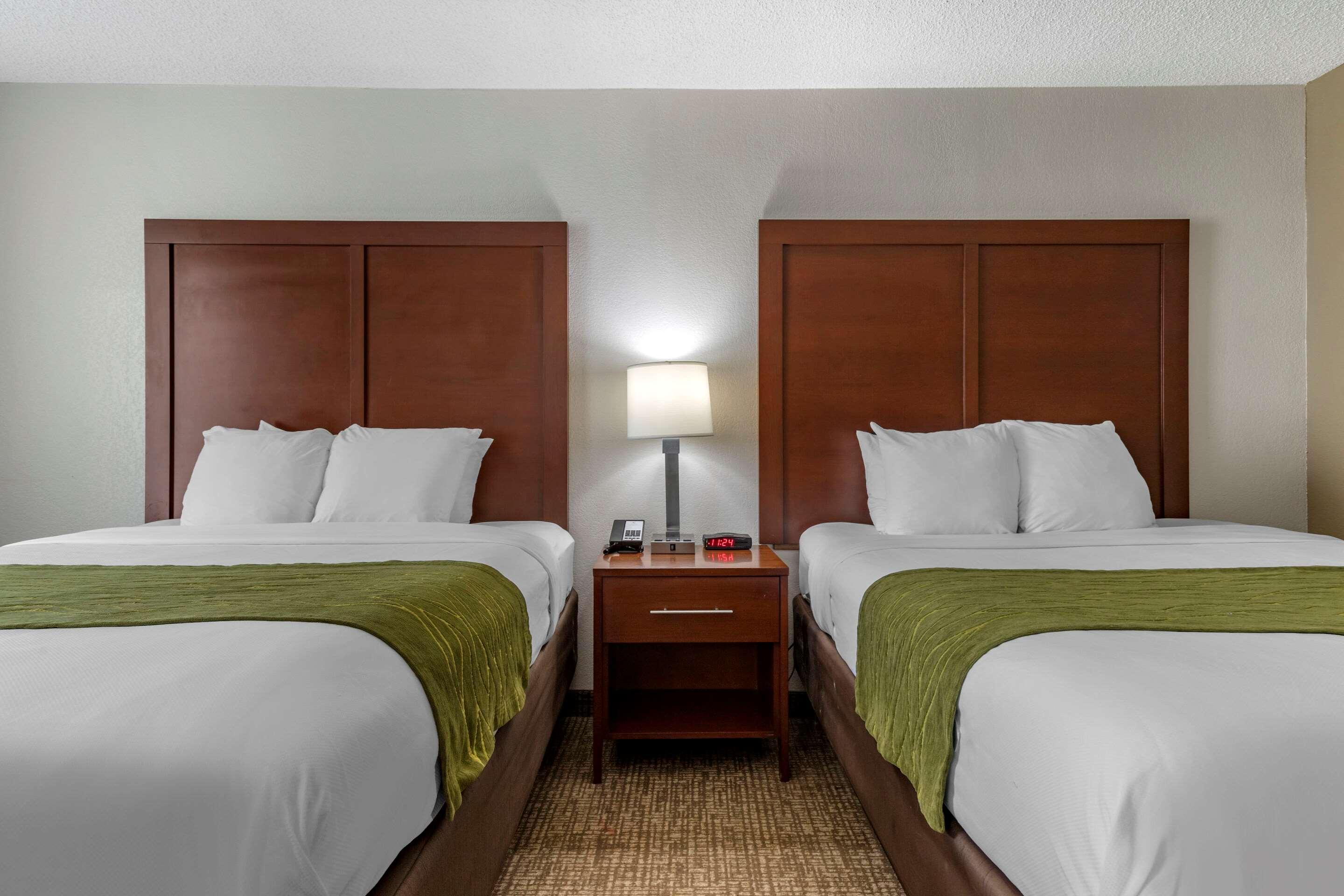 שלבי Comfort Inn מראה חיצוני תמונה